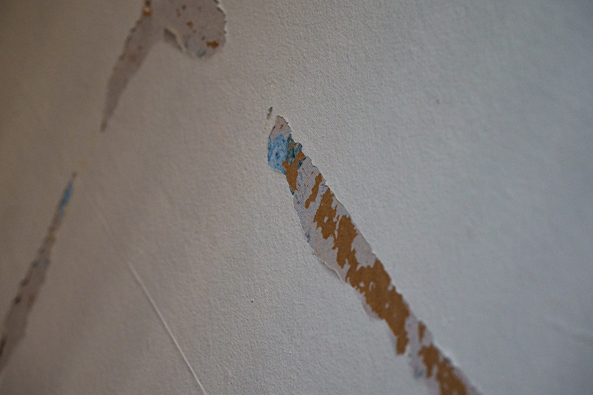 Storm Damage Repair service in State College, PA